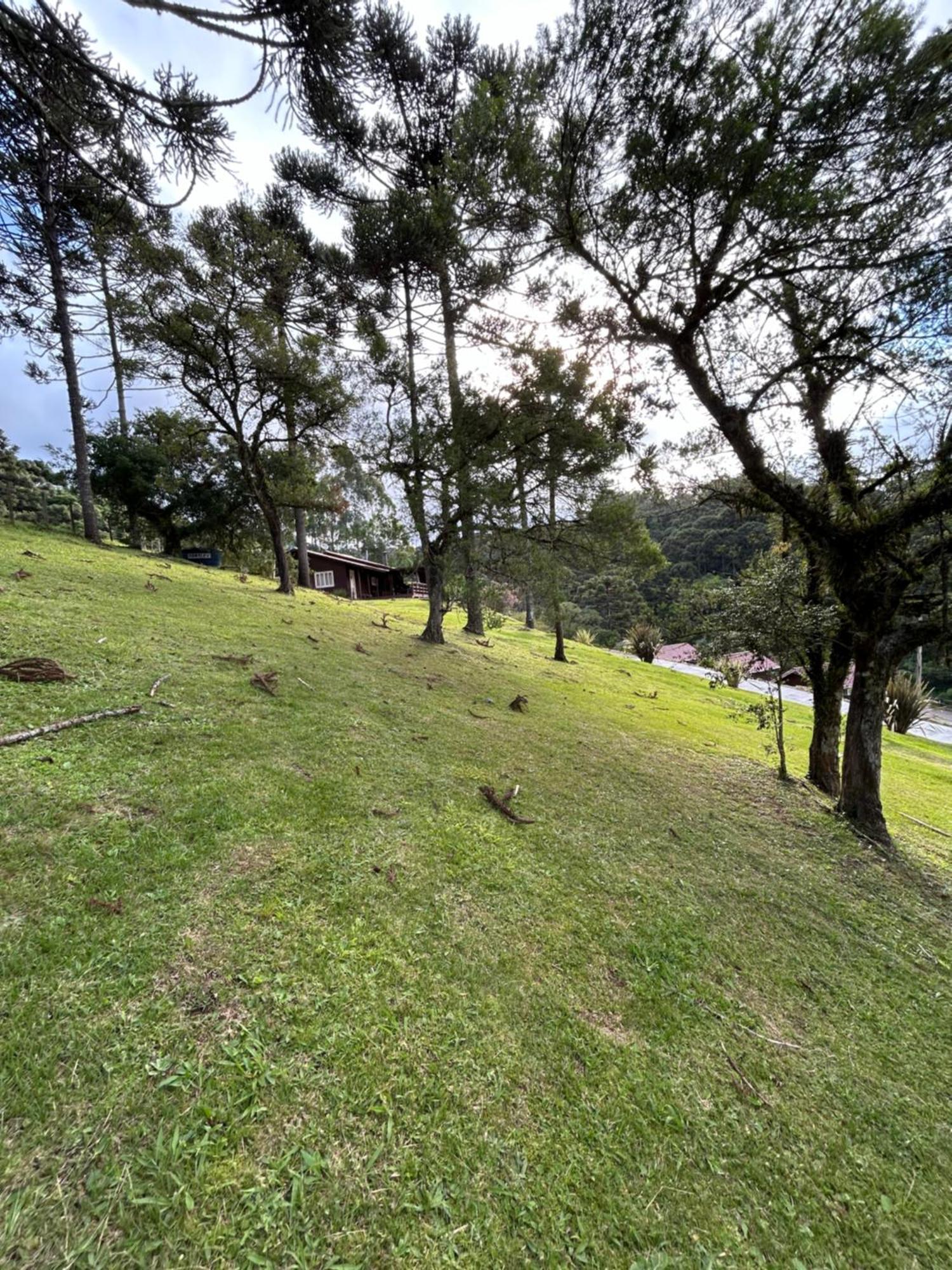 Pousada Recanto Da Gruta Urubici Eksteriør bilde